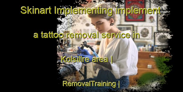 Skinart Implementing implement a tattoo removal service in Kolsillre area | RemovalTraining | RemovalClasses | SkinartTraining-Sweden